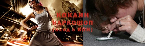 гидра Богданович