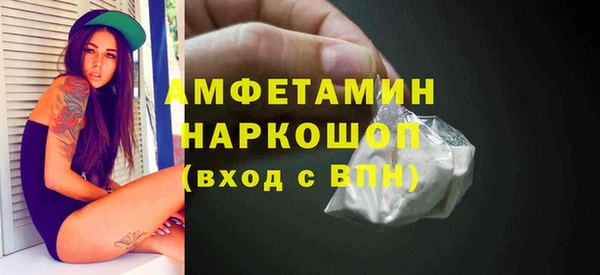 гидра Богданович