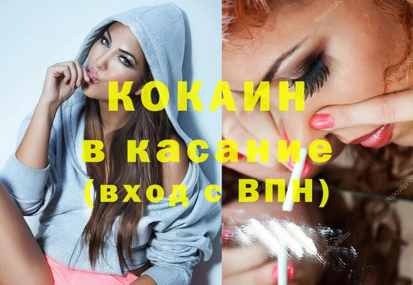гидра Богданович