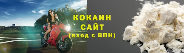 гидра Богданович