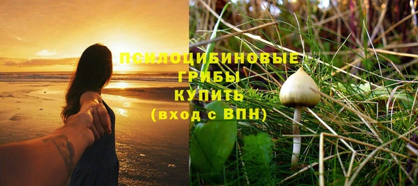 хмурый Богородицк