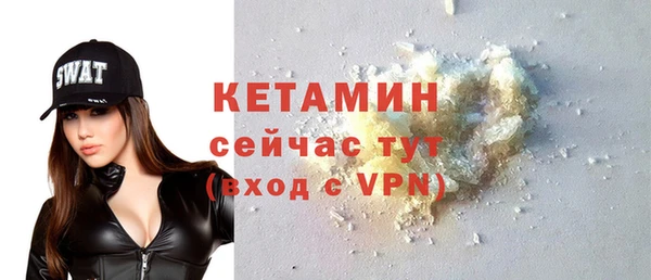 гидра Богданович