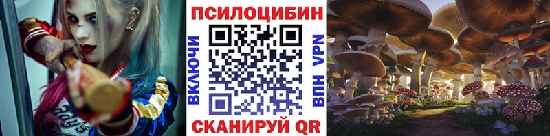 Псилоцибиновые грибы Cubensis  Сковородино 